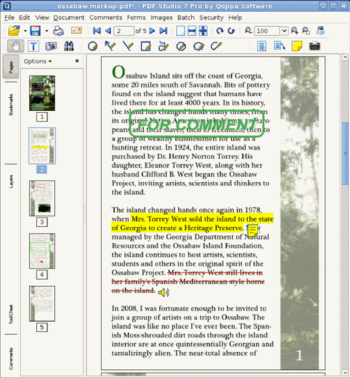 PDF Studio for Linux  screenshot