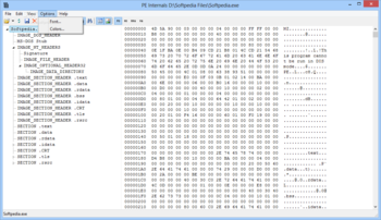 PE Internals screenshot 3