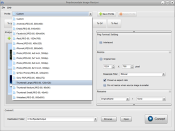 PearlMountain Image Resizer (formerly AnyPic Image Resizer) screenshot 3
