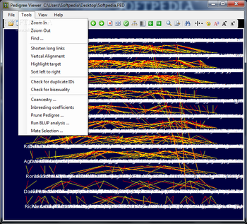 Pedigree Viewer screenshot 2