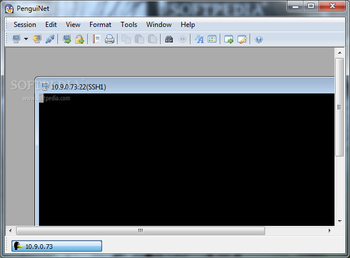 PenguiNet screenshot