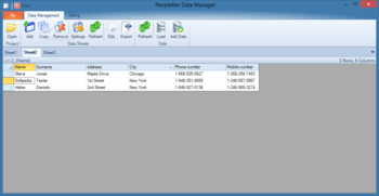 PeopleRes Data Manager screenshot