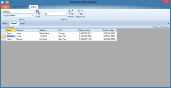 PeopleRes Data Manager screenshot 2