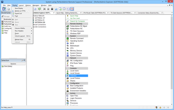 PerfectAdmin Remote Support Professional screenshot 2