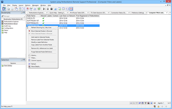 PerfectAdmin Remote Support Professional screenshot 8