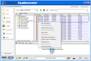 PerfectFileRecovery screenshot 2