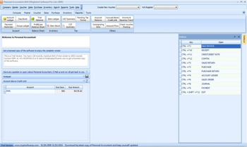 Personal Accountant screenshot