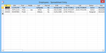 Personal Payroll Manager screenshot 4