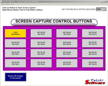 Petski Screen Capture for MSWord 2010 screenshot 2