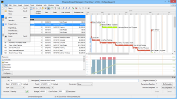 Phoenix Project Manager screenshot 2