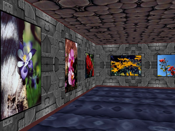 Phota Flowers Screensaver screenshot 2
