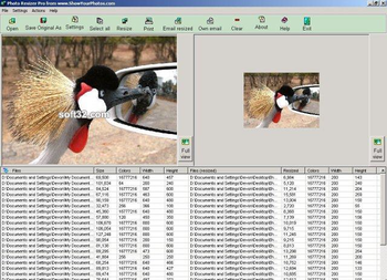 Photo Resizer Pro screenshot 2