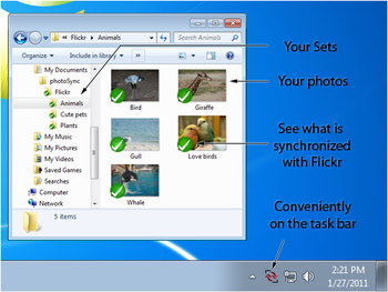 photoSync screenshot