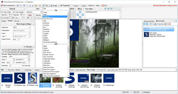 PhotoWatermark Professional screenshot 2