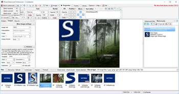 PhotoWatermark Professional screenshot 9