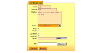 PHP DataForm screenshot