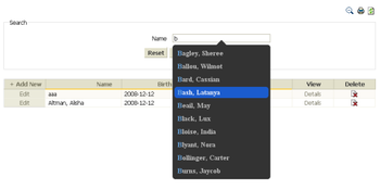 PHP DataGrid screenshot