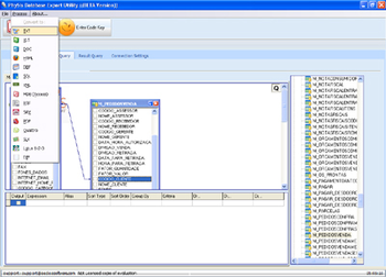 Physis DataBase Database Export Utility screenshot 2