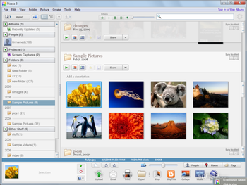 Picasa screenshot