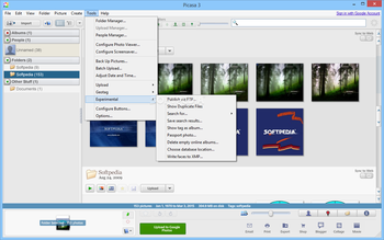 Picasa screenshot 11