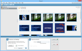 Picasa screenshot 13