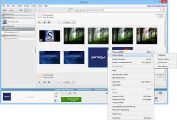 Picasa screenshot 2