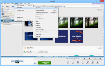 Picasa screenshot 7