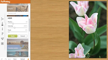 PicMonkey screenshot