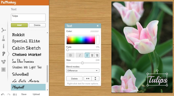 PicMonkey screenshot 2
