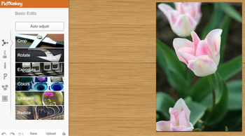 PicMonkey screenshot 3