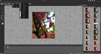 Picosmos Tools screenshot 13