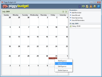 Piggybudget screenshot 2