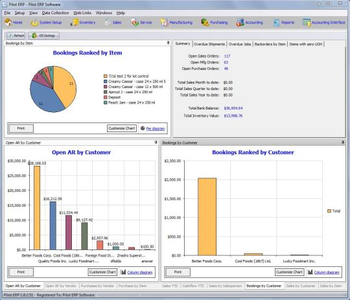 Pilot ERP screenshot 3