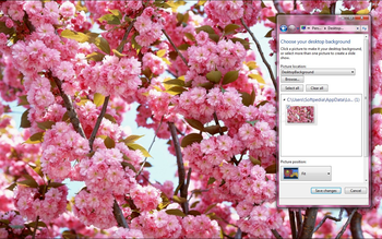Pink Flowers Bloom screenshot