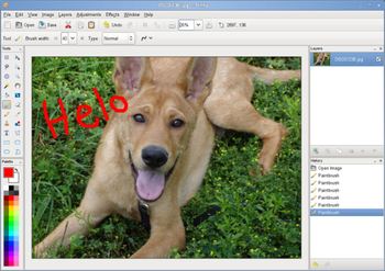 Pinta screenshot