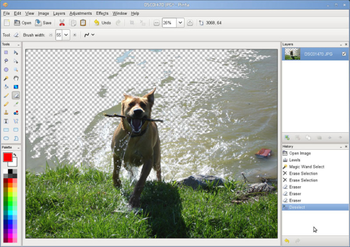 Pinta screenshot 2