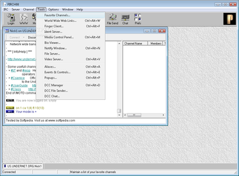 PIRCH98 screenshot 5