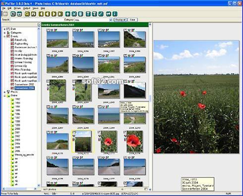 PixFiler screenshot 6