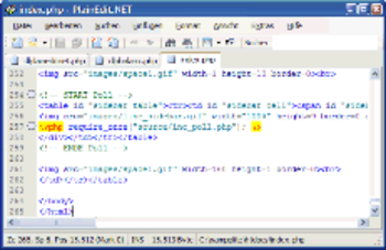 PlainEdit.NET screenshot