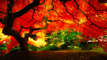 Planet Garden Screensaver screenshot