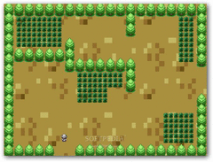 Pokemon Dragon Island screenshot