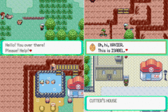 Pokemon Emerald Version screenshot 2