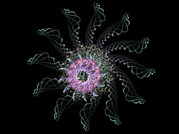 PolyMorph3D screenshot