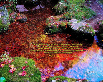 Pond of Famous Japanese Zen Koi screenshot
