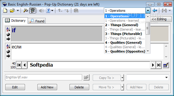 Pop-Up Dictionary screenshot 2