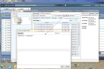 POP3 E-mail Manager screenshot 2