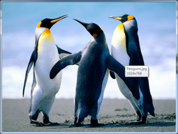 Popup Image Viewer screenshot