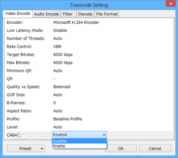 Portable A's Video Converter screenshot 14