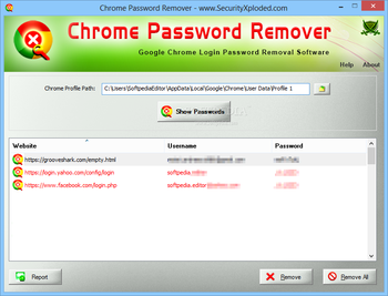 Portable Chrome Password Remover screenshot