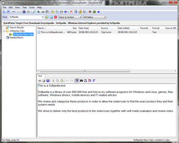 Portable ClipCache Pro screenshot